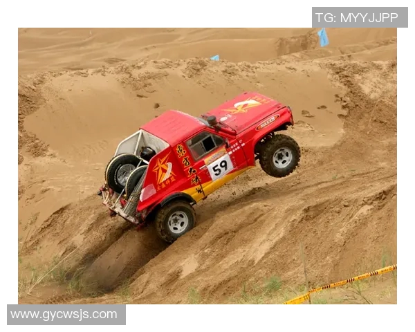 平衡木赛事精彩回顾：选手们的精彩表现与赛场瞬间分享