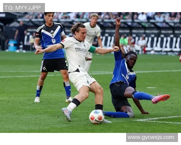 汉堡队重获新生，德甲再度闪耀舞台