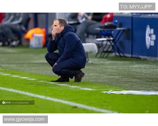 斯图加特主场逆转沙尔克04,豪取重要三分!