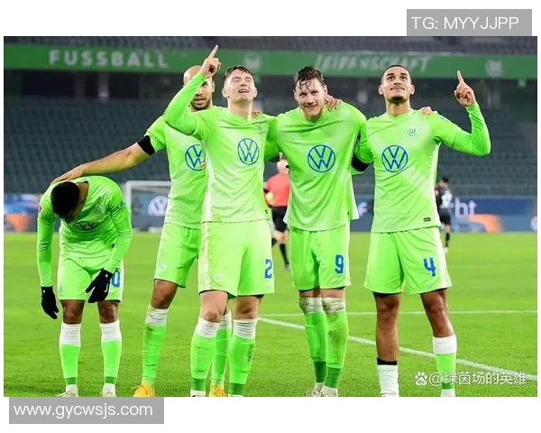沃尔夫斯堡主场继续不败，德甲排名稳固