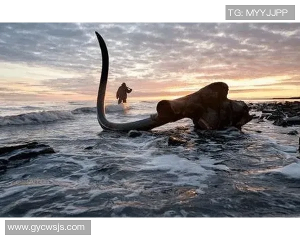 猛犸象尝试新首发阵容，追求获胜